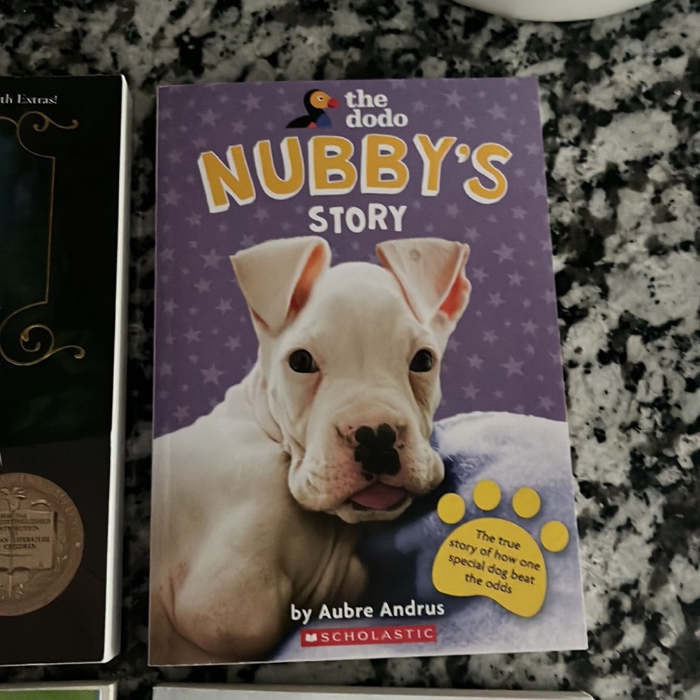 4 chapter books bundle - Picture 4 of 7